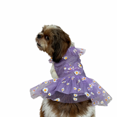 Pawgy Pets Frilly Check Purple for Dogs & Cats