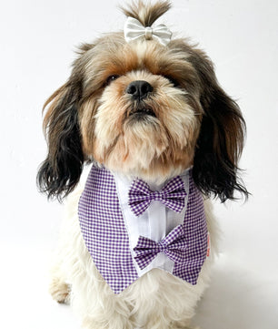Pawgy Pets Casual Check Bandana: Purple for Dogs & Cats