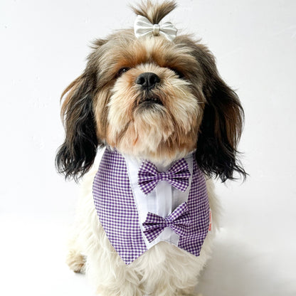 Pawgy Pets Casual Check Bandana: Purple for Dogs & Cats