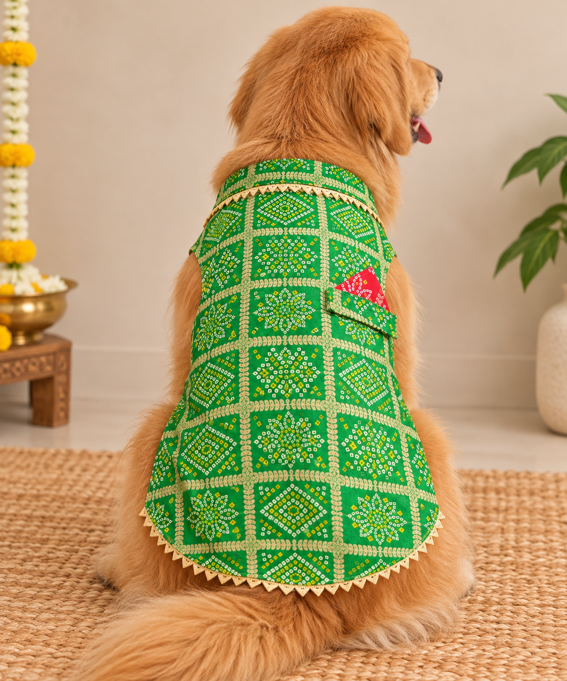 Green Bandhani Kurta | For Dogs | Pawgy Pets