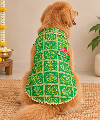 Green Bandhani Kurta | For Dogs | Pawgy Pets