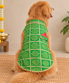 Green Bandhani Kurta | For Dogs | Pawgy Pets