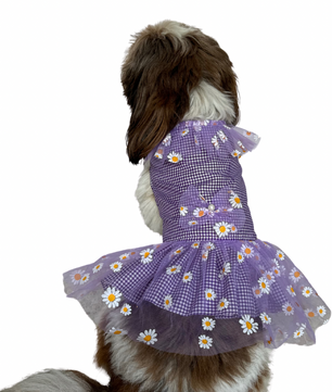 Pawgy Pets Frilly Check Purple for Dogs & Cats