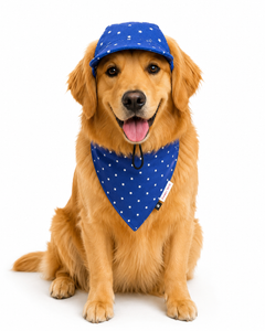 Royal Blue Star Cap and Bandana Set | For Dogs | Pawgy Pets