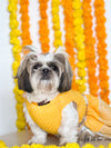 Yellow Pleaty Lehenga | For Dogs | Pawgy Pets