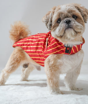 Pawgy Pets Desi Tuxedo: Red for Dogs & Cats