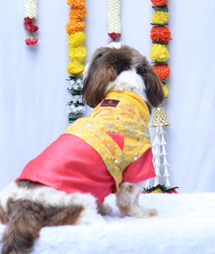 Pawgy Pets Kurta Koti Peach & Yellow for Dogs