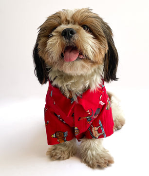 Pawgy Pets Warm winter Shirt: Red pets for Dogs & Cats