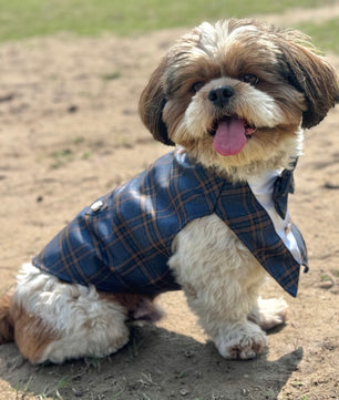 Luxe by Pawgy Pets Navy Blue Check  Bowtie Tuxedo