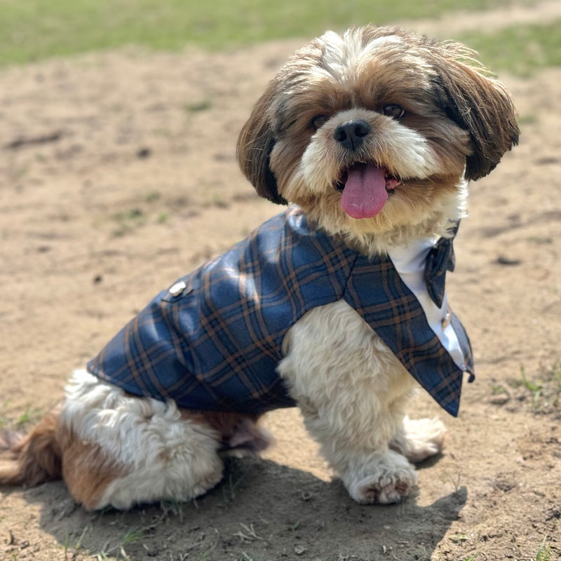 Navy Blue Check Bowtie Tuxedo | Luxe Collection | Pawgy Pets