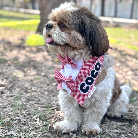 Pawgy Pets Personalised Casual Check Bandana: Red for Dogs & Cats