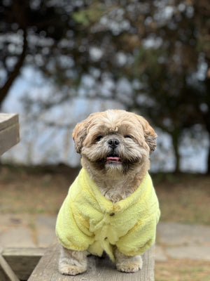 Lime Yellow Fur Puffer Jacket | For Dogs & Cats | Pawgy Pets