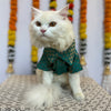 Teal Blue Occasion Wear Shirt | For Cats | Pawgy Pets
