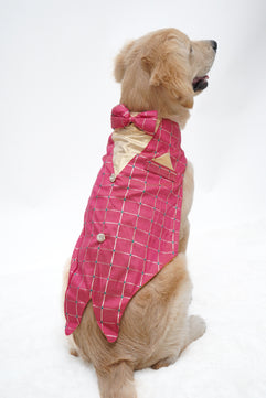 Pawgy Pets Desi Tuxedo: Pink for Dogs & Cats