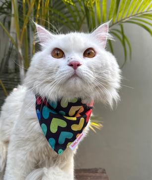 Pawgy Pets Casual Bandana:  Multi-heart for Cats and Dogs