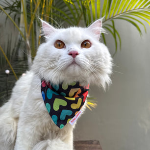 Pawgy Pets Casual Bandana:  Multi-heart for Cats and Dogs