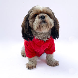 Pawgy Pets Fur Puffer Jacket: Red for Dogs & Cats