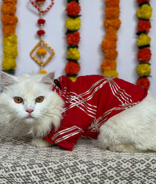 Pawgy Pet Festive kurta Red Gota (Cat)