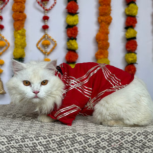 Red Gota Festive Kurta | For Cats | Pawgy Pets