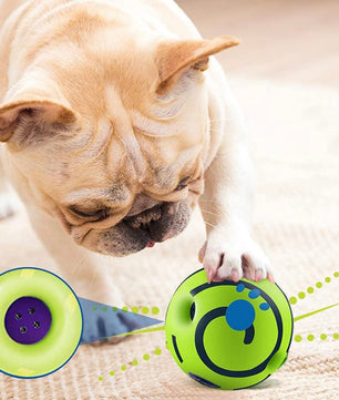 Pawgy Pets Sound Ball for Dogs