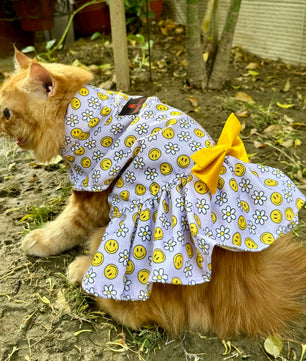 Pawgy Pets Smiley Daisy Dress Lavender(Cat)
