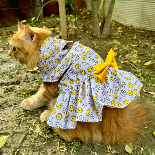 Pawgy Pets Smiley Daisy Dress Lavender(Cat)