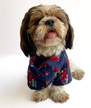 Pawgy Pets Warm winter Shirt: Blue Cars for Dogs & Cats