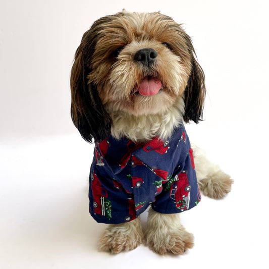 Pawgy Pets Warm winter Shirt: Blue Cars for Dogs & Cats
