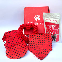 Pawgy Pets Valentine Love-struck hamper for Dogs