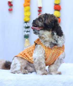 Pawgy Pets Tie & Dye kurta Yellow Orange for Dogs