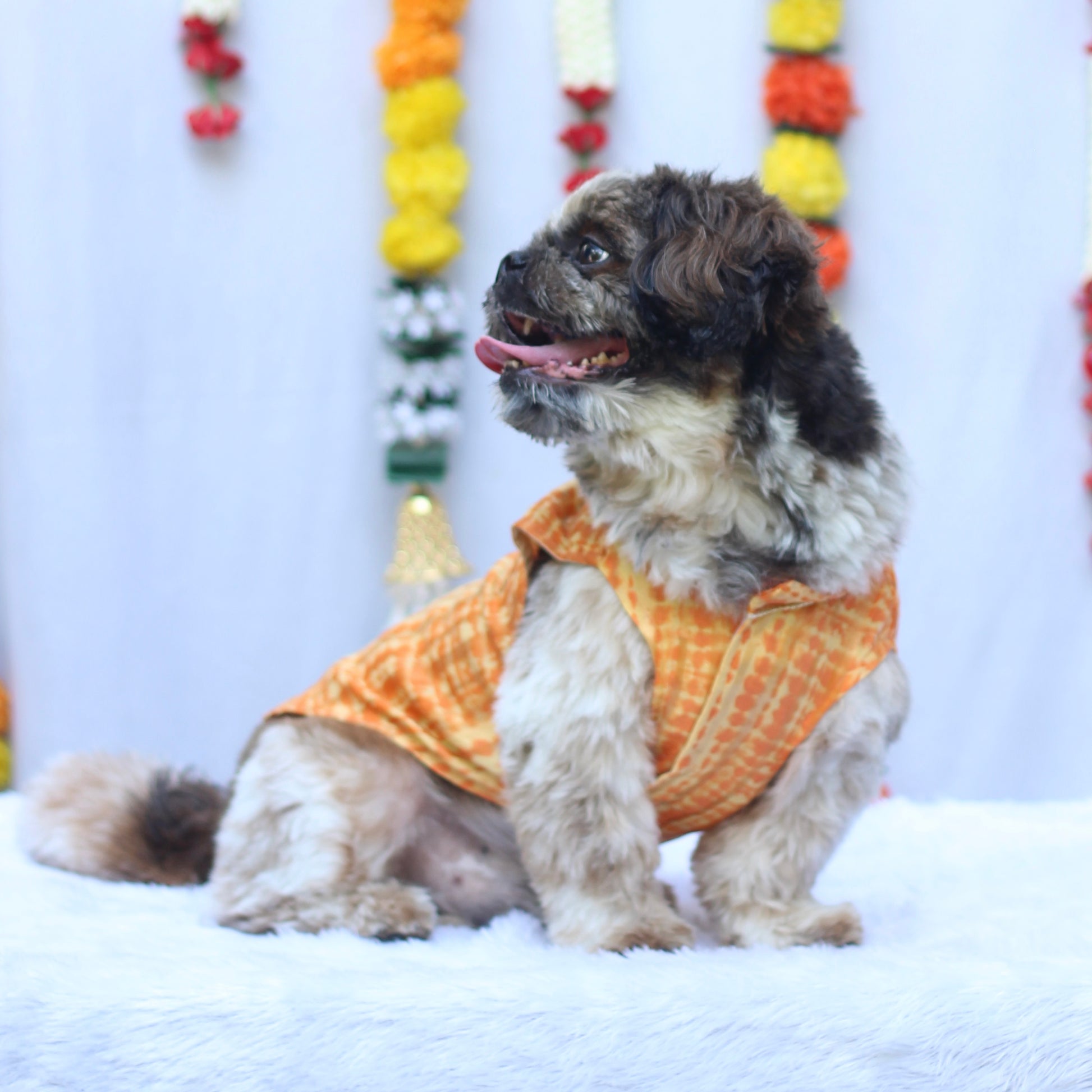 Pawgy Pets Tie & Dye kurta Yellow Orange for Dogs