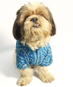 Pawgy Pets Blue Bandani kurta for Dogs