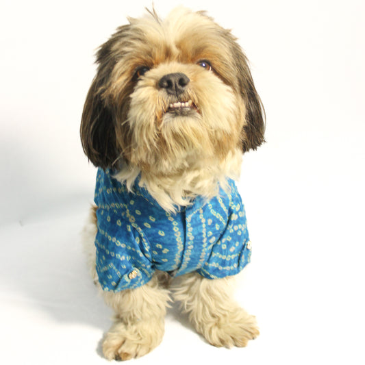 Pawgy Pets Blue Bandani kurta for Dogs