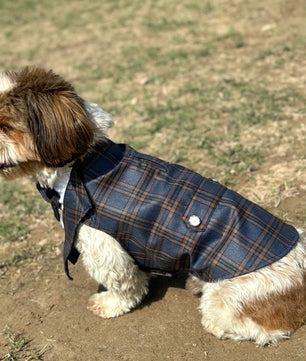 Luxe by Pawgy Pets Navy Blue Check  Bowtie Tuxedo
