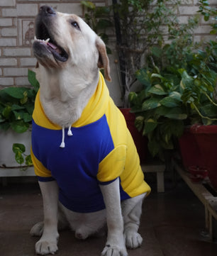 Pawgy Pets Minion Hoodie Pet Sweatshirt - Yellow
