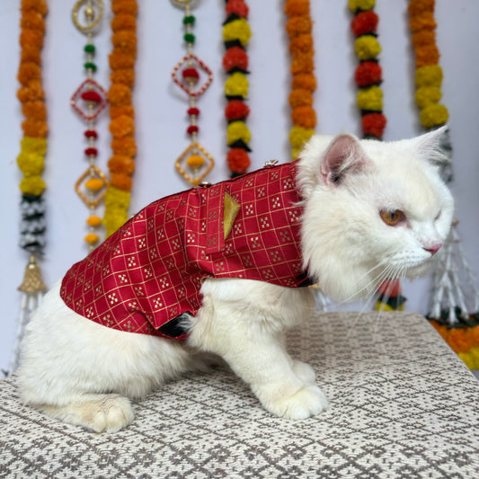 Pawgy Pets Cat Strapy Sherwani Red for Cats