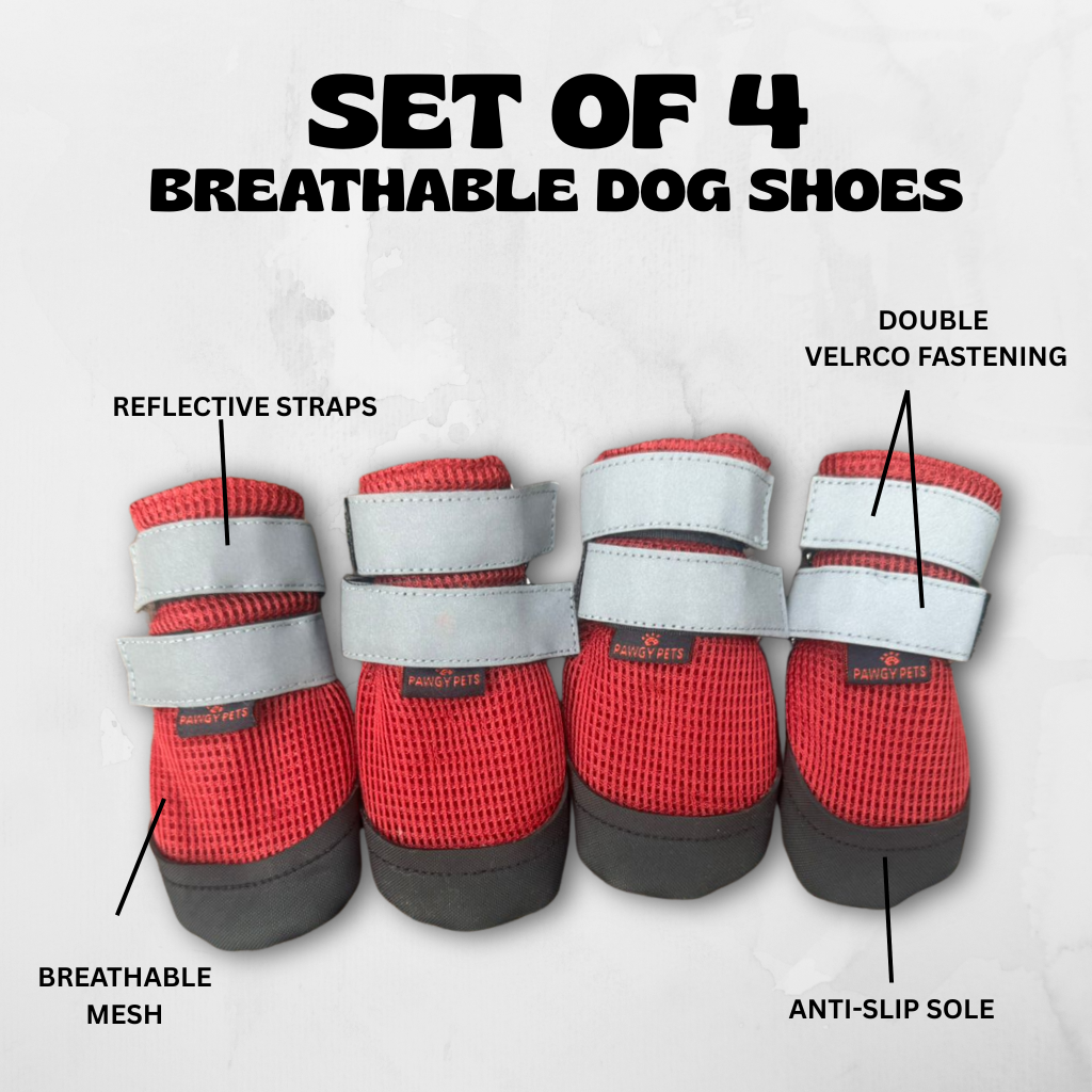 Pawgy Walkies – Breathable Dog Shoes: Set of 4 (Maroon)