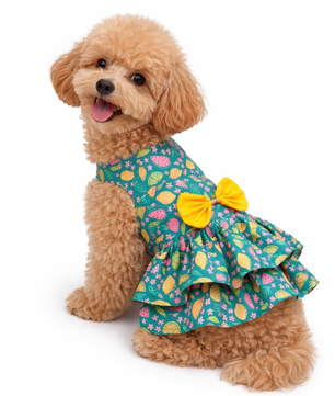 Fruity Dress | Green | For Dogs | Pawgy Pets