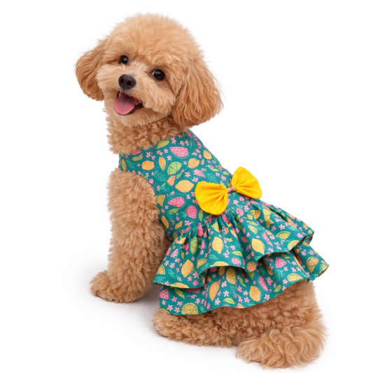 Pawgy Pets Fruity Casual dress for Dogs (Green)