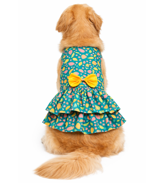 Fruity Dress | Green | For Dogs | Pawgy Pets