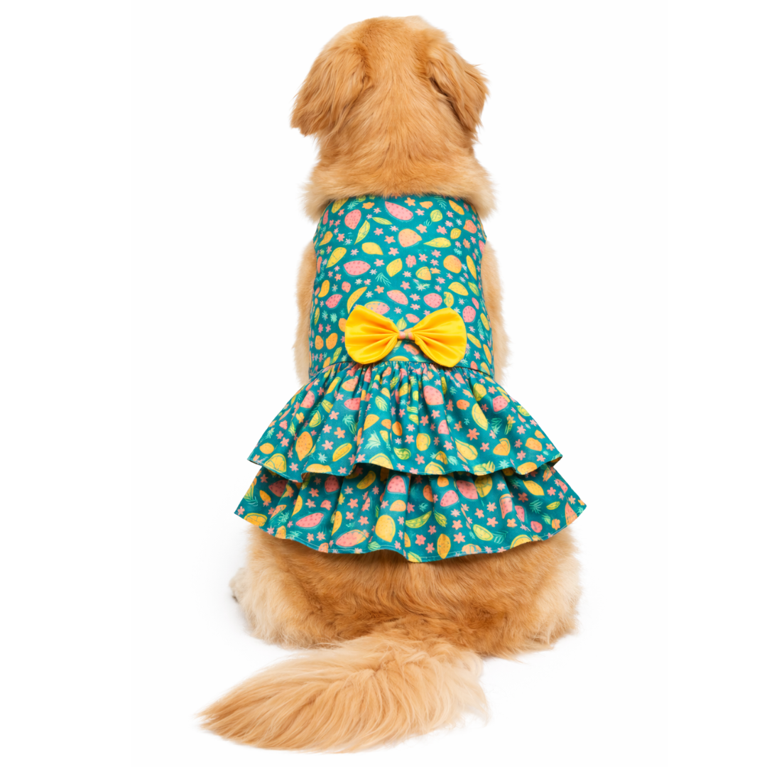 Fruity Dress | Green | For Dogs | Pawgy Pets