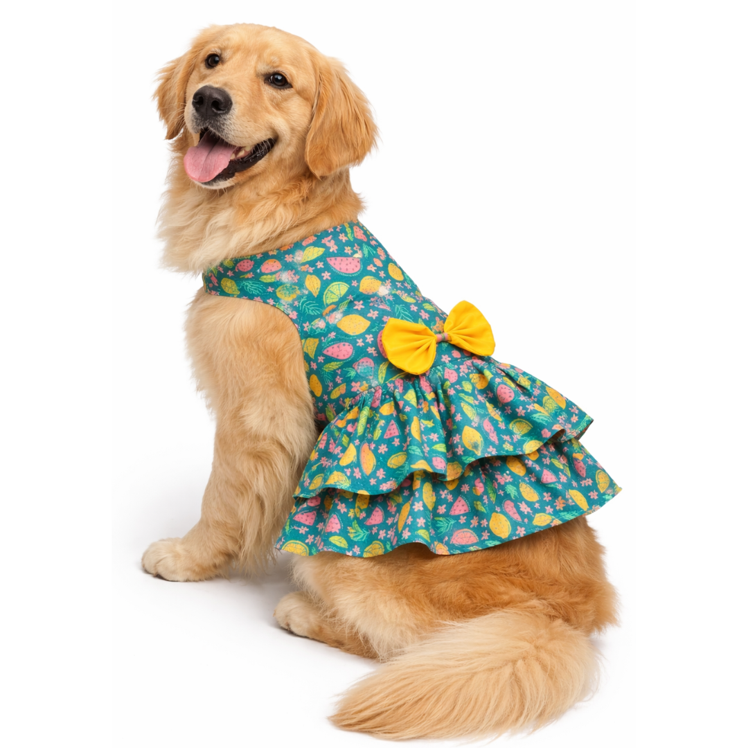 Fruity Dress | Green | For Dogs | Pawgy Pets