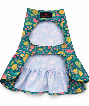 Fruity Dress | Green | For Dogs | Pawgy Pets