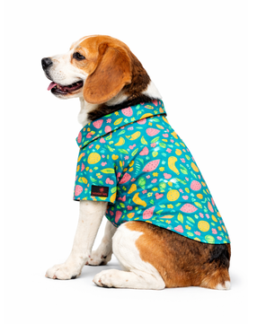 Pawgy Pets Fruity Casual shirt for Dogs (Green)