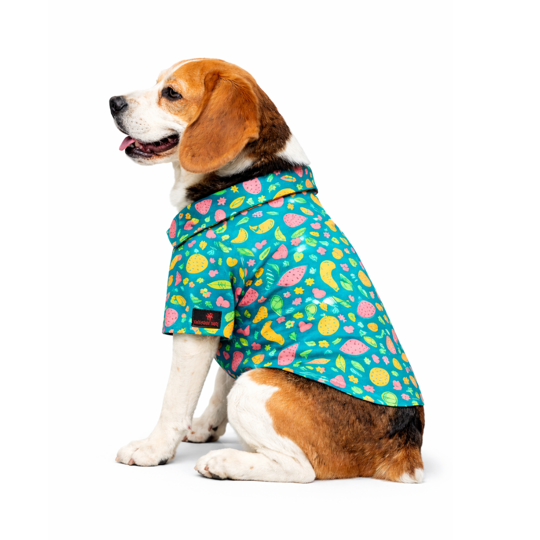 Pawgy Pets Fruity Casual shirt for Dogs (Green)