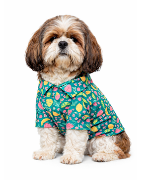 Pawgy Pets Fruity Casual shirt for Dogs (Green)