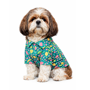 Fruity Shirt | Green | For Dogs | Pawgy Pets