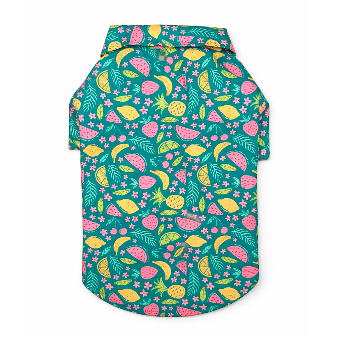 Pawgy Pets Fruity Casual shirt for Dogs (Green)