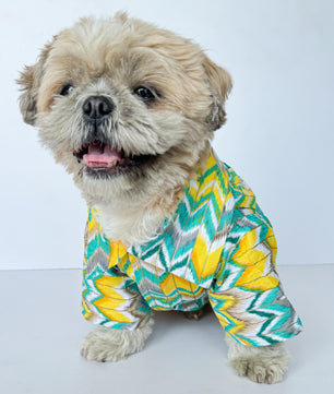 Pawgy Pets Zig-Zag kurta Green for Dogs