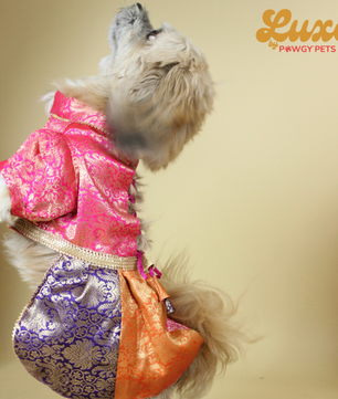 Luxe by Pawgy Pets Brocade Colour block lehenga dress